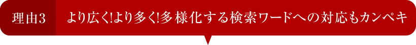 理由3 より広く！より多く！多様化する検索ワードへの対応もカンペキ